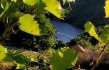 cabaña do rei - Foto 60