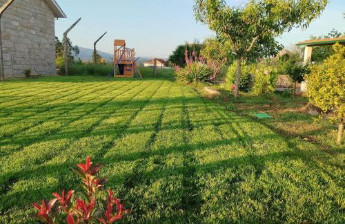 Oliveira House - Foto 1