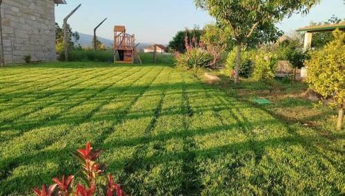 Oliveira House - Photo 1