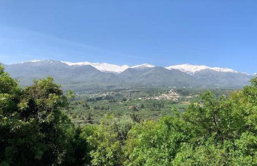 Grey House - Foto 80