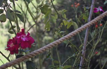 Villa Rita - Photo 14