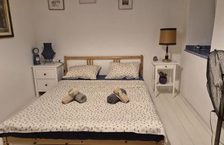 Bonvivan House - Photo 16