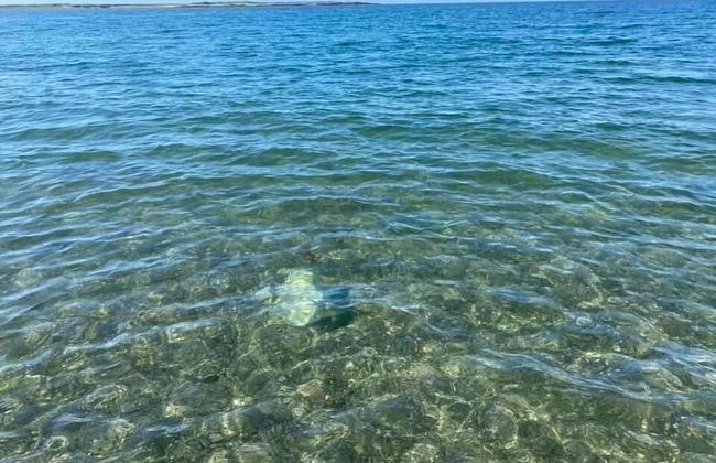 Cosy Annexe Sleeps 4 - Photo 20