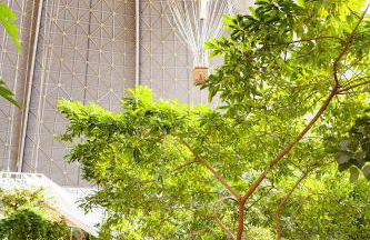 Tropical Islands Resort - Foto 69