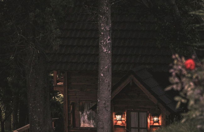 Cocos Cura Casas de Montaña - Photo 36