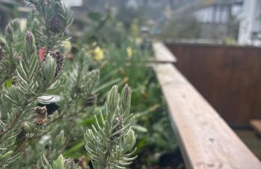 Compton House 1, Sea & Castle Views - Foto 69