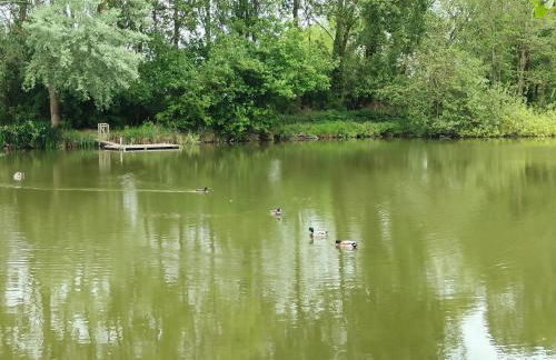 Le cottage des rives de l'Aa labélisé 3 étoiles - Foto 19