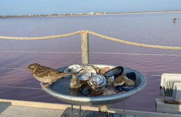 Domaine du Petit Tournebelle - Foto 66