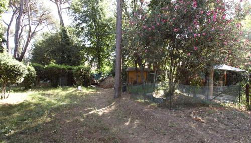 Appia Antica 2BR with swimming pool - Photo 2, Garden, Garden view