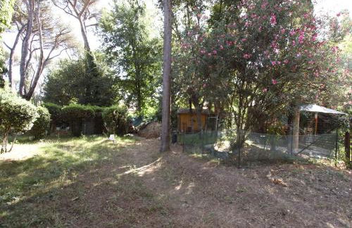 Appia Antica 2BR with swimming pool - Photo 2