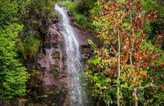 Casa do Silverio - Barroca - Foto 31