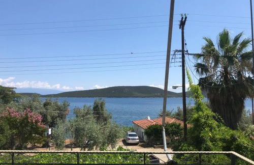 Ai Nies Studios - Foto 1