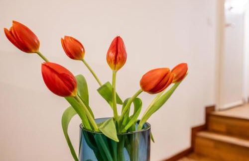 Velvet Stay Ravizza 41 by Pleiades Home - Foto 25