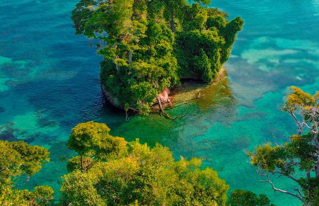 Excursión a Isla Escudo de Veraguas - Foto 6