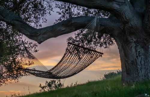 Ballard Canyon Ranch by Paradise Retreats - Foto 47