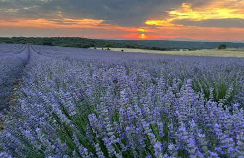 El Camino Casa Boutique - Foto 6