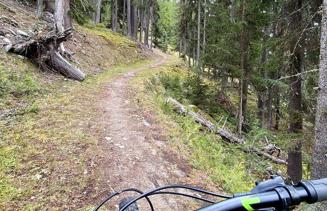 Chalet Jungtalblick Chilcheri - Foto 30