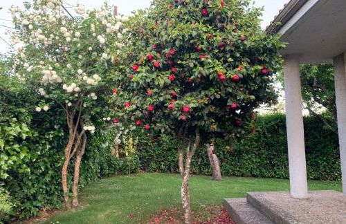 Casa Otilia - Rural - Camino de Santiago - Arzúa - Foto 45