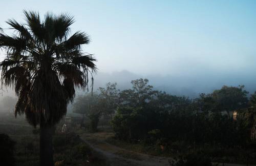 Finca Hotel Ses Cases Noves - Foto 144