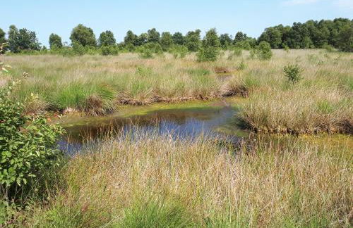 Preisbewusste Ferienwohnung für 2 Personen u. Kleinkind - Photo 29