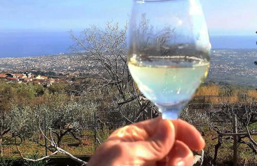 Casa Leopina Apri gli occhi e vola oltre il mare - Foto 36