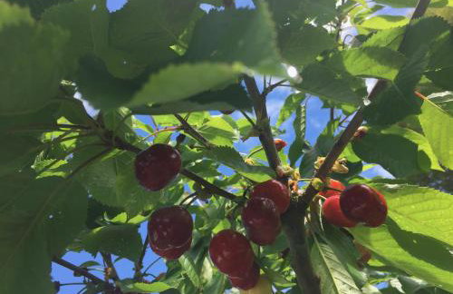 Casa Sant Angelo - Photo 60