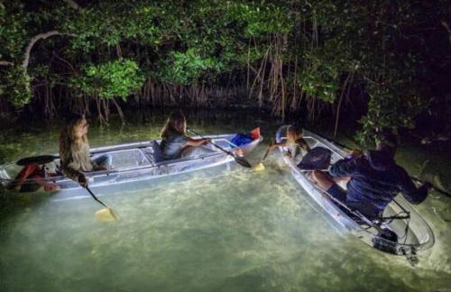 Relaxing Pool Side - Near Fairgrounds - Foto 37