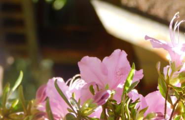 Ferienwohnungen Behling am Schufutsberg - Foto 13