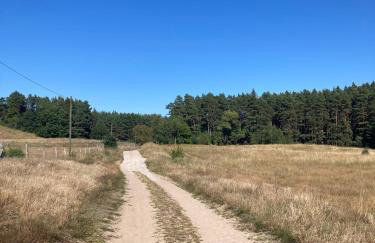 Bungalows im Grünen - Photo 11