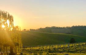 Corte D'Aibo - Photo 23