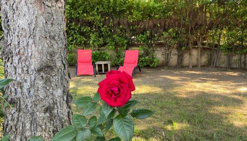 La roseraie Bonnieux - Foto 4, Garden