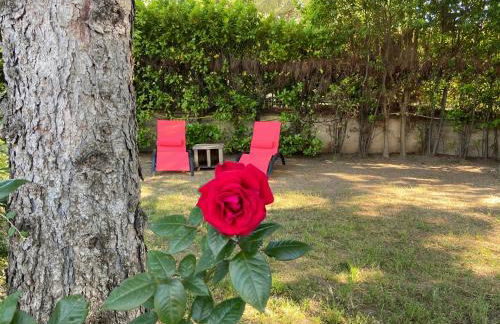 La roseraie Bonnieux - Foto 4