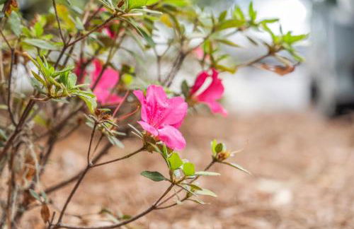 The Sandpiper - Just Steps to Downtown Beaufort and Beaufort River - Photo 41