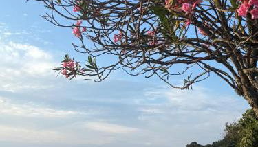 Apartamentos A Illa - Foto 4