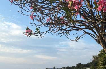 Apartamentos A Illa - Foto 4