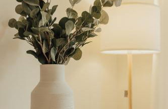 Gerês Thermae Retreat - Foto 16