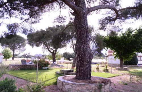 Casa Rural Los Jarales Número Registro TR-CC-00365 - Foto 44