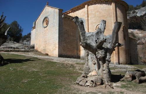 Fuente del Pino Cañón de Río Lobos - Foto 30