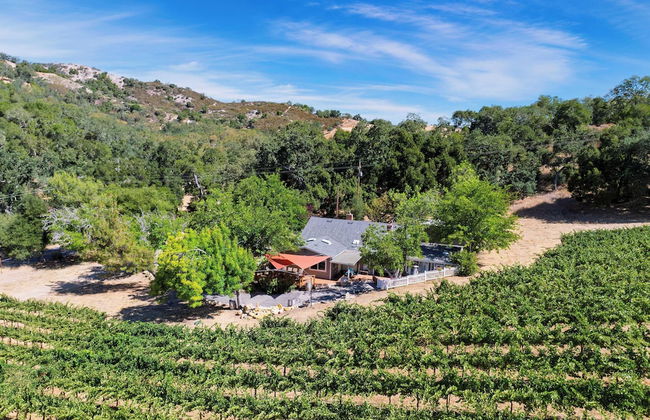 Luxury Wine Country Haven + Vineyard Views Near Top Wineries Adelaida Farmhouse - Foto 54