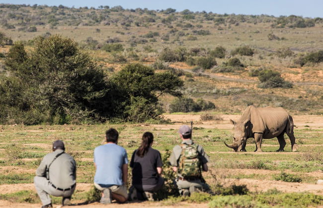 Uplands Homestead - Photo 24