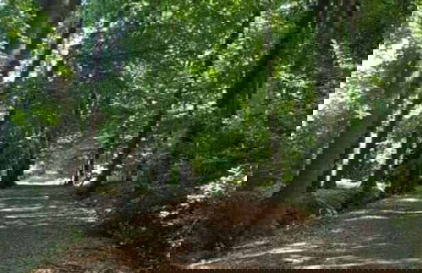 Holiday Apartment Aufderhaar - Photo 17