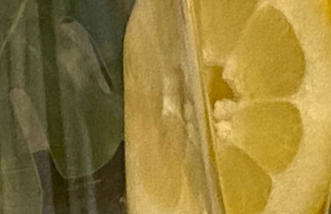 Fetta di Limone Apartment with AC - Foto 25