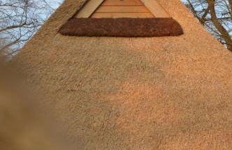 Tüschenbeker Mühle - Foto 16