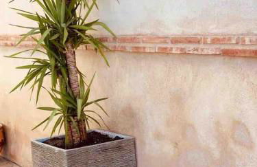 CASA RURAL VILLARRUBIA - Foto 25