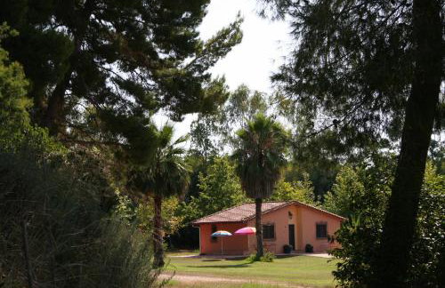 Terry Land Village - Foto 44