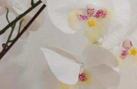 Casa Luna y Sol - Foto 50