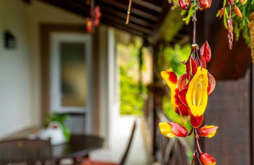 Casa do Jardim Botanico - Foto 1