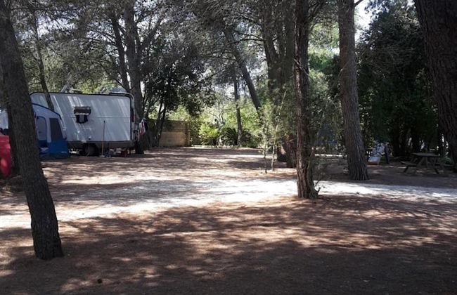 Agriturismo Vignavecchia - Photo 53