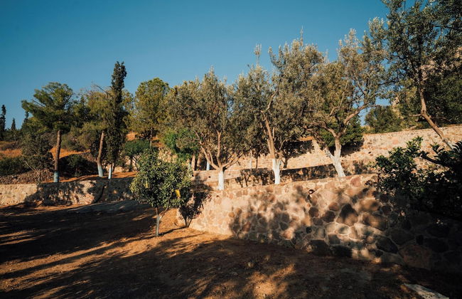 Terra Cassa Private Villa - Photo 73