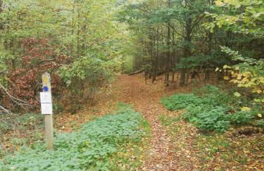 Dreimal Seeblick - Foto 14